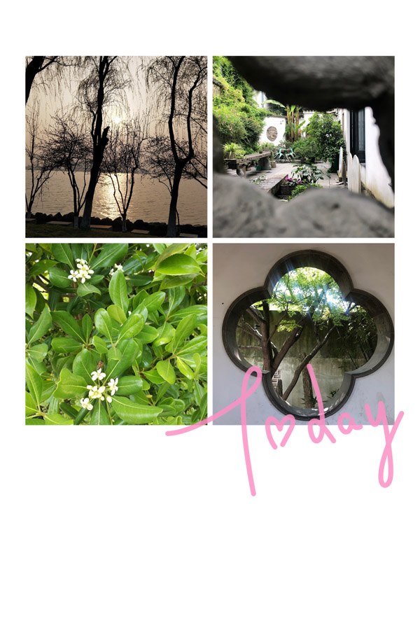 苏州百年职业学院